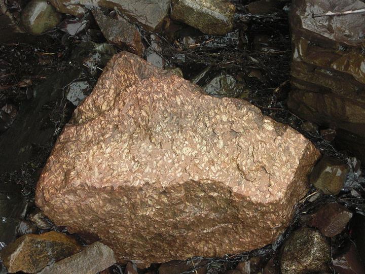 Rhomb porphyry