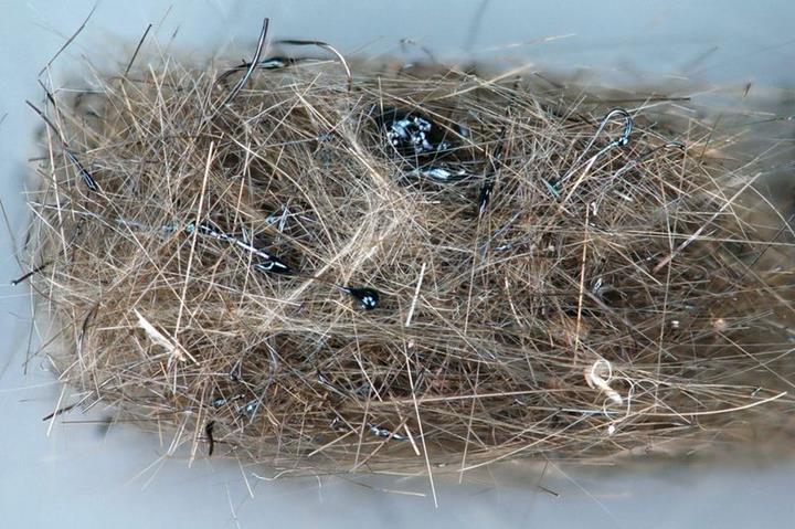 Pele’s hair with some Pele’s teras.