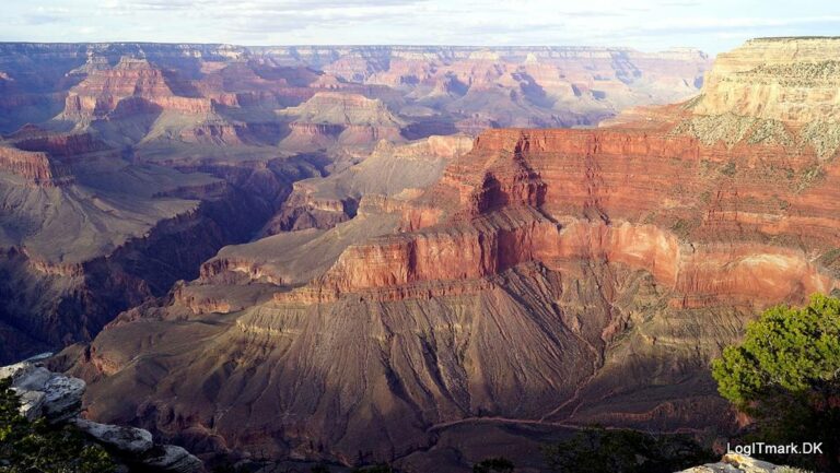 Sedimentary rocks show several rock strata (made of several stratum)