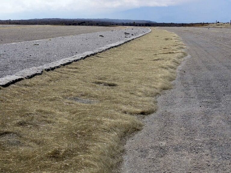 Golden-brown Pele’s hair volcanic glass on the downwind of Halemaʻumaʻu covering a curb ground in a parking lot on May 3, 2012